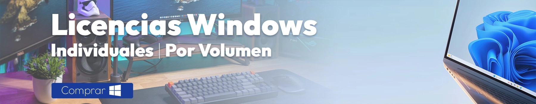 Licencias Windows